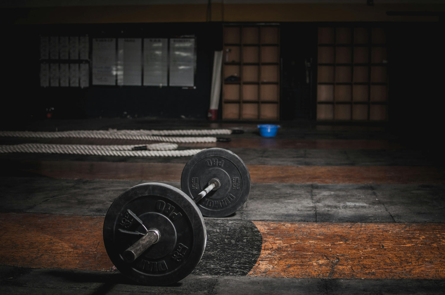Gym & Wellness